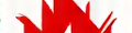 Firebase Logo